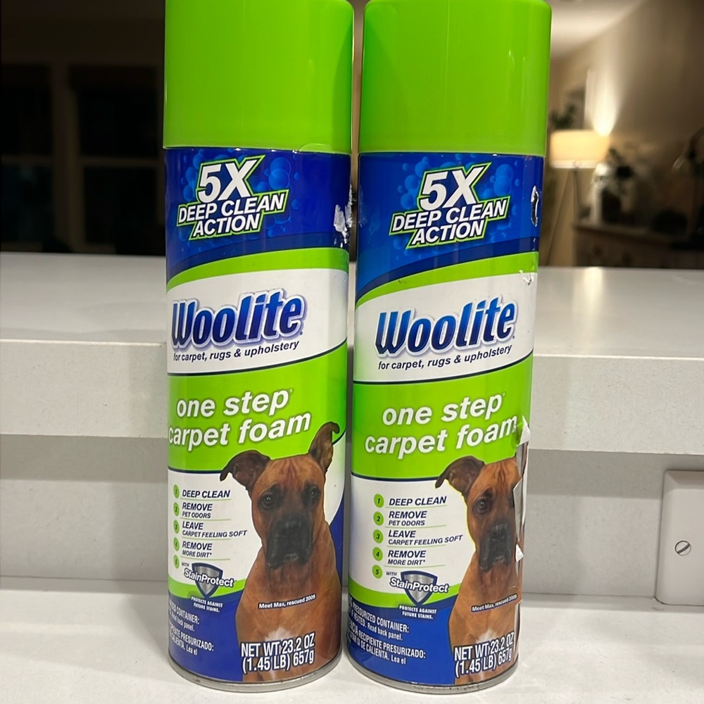 Woolite One Step Foam Carpet Cleaner - 22 oz